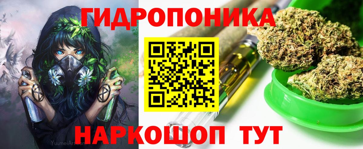 Бошки марихуана сатива  Бошки марихуана план  Вход с VPN  Дзержинск  Конопля семена 